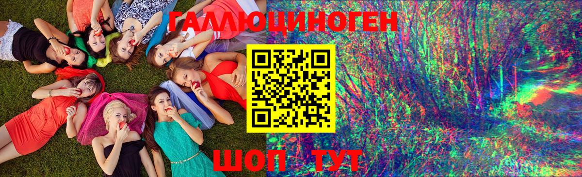 Псилоцибиновые грибы Cubensis Саранск