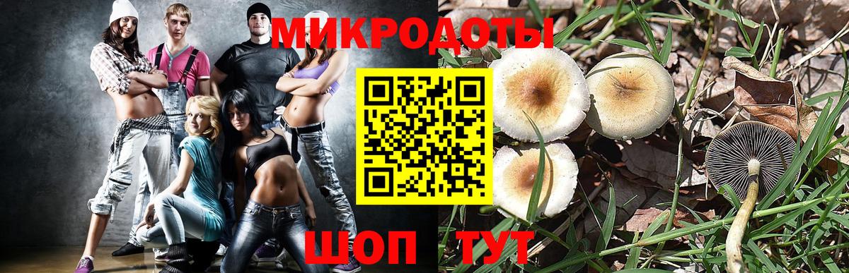 Галлюциногенные грибы ЛСД  Вход с VPN  Саранск 
